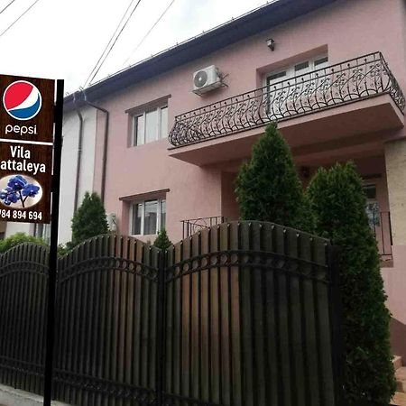 Casa Cattleya Hotell Târgu Jiu Exteriör bild
